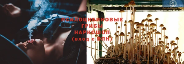 эйфоретик Сосновка