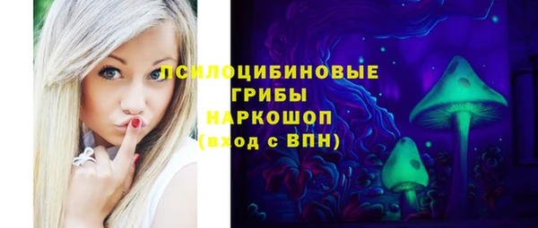 эйфоретик Сосновка