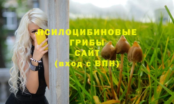 мяу мяу мука Сосновый Бор