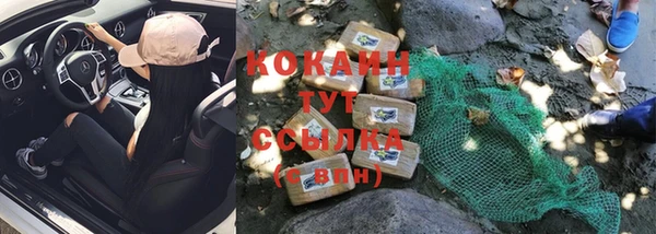 эйфоретик Сосновка
