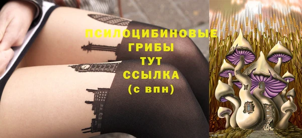 бутират Белокуриха